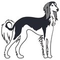 Signmission Saluki Dog Decal, Dog Lover Decor Vinyl Sticker D-12-Saluki